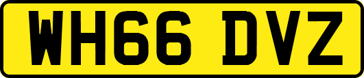 WH66DVZ