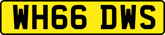 WH66DWS