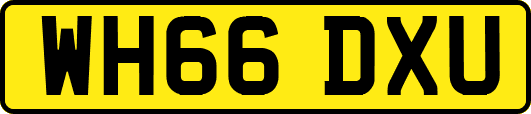 WH66DXU
