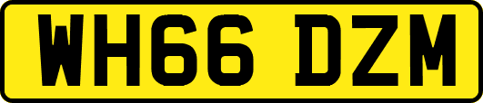 WH66DZM