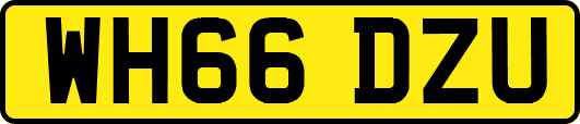 WH66DZU