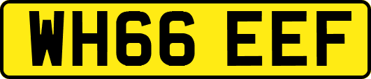 WH66EEF