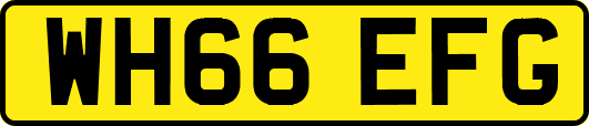 WH66EFG