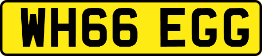 WH66EGG