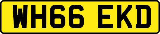 WH66EKD