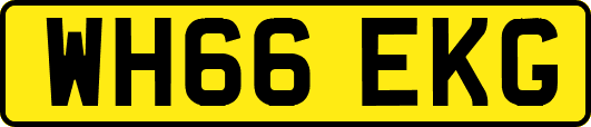 WH66EKG