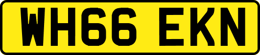 WH66EKN