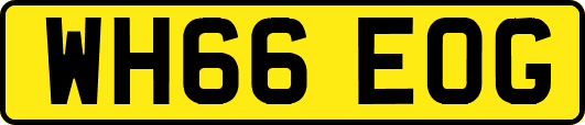 WH66EOG