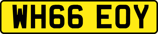 WH66EOY
