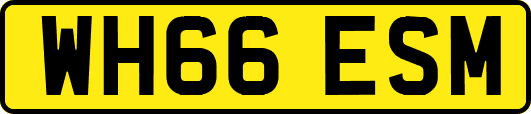 WH66ESM