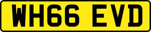 WH66EVD
