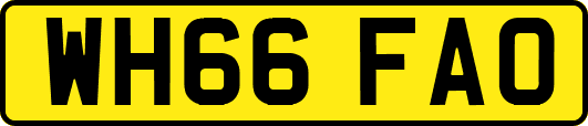 WH66FAO