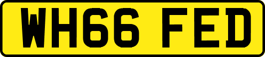 WH66FED