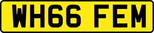 WH66FEM