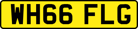WH66FLG