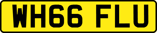 WH66FLU