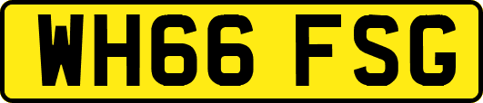 WH66FSG