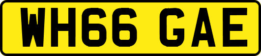 WH66GAE