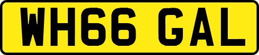 WH66GAL