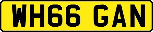 WH66GAN