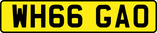 WH66GAO