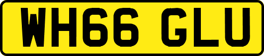 WH66GLU