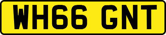 WH66GNT