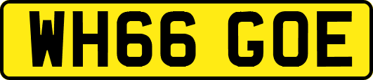 WH66GOE