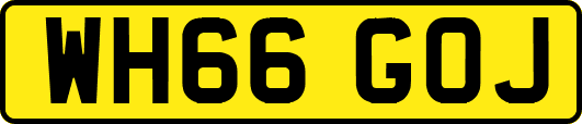 WH66GOJ