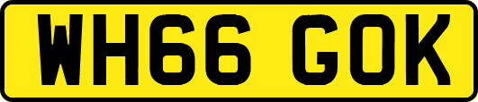 WH66GOK