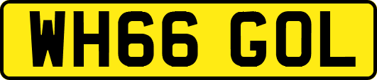 WH66GOL