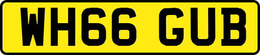 WH66GUB