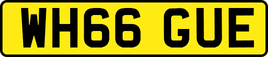 WH66GUE