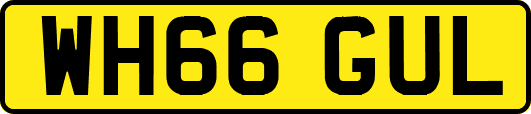 WH66GUL