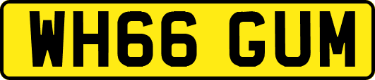 WH66GUM