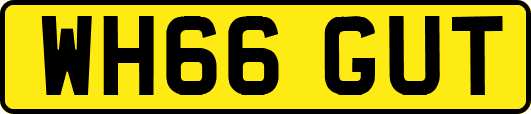 WH66GUT