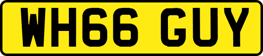 WH66GUY