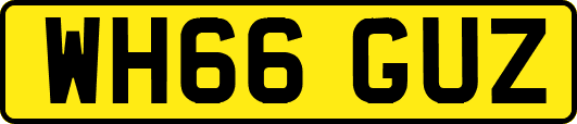 WH66GUZ