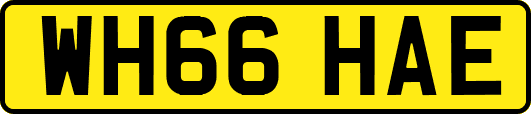 WH66HAE