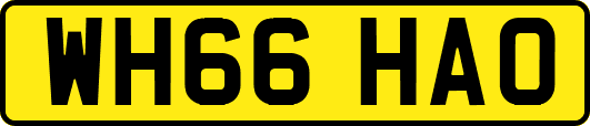 WH66HAO