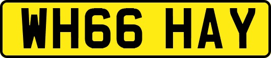 WH66HAY