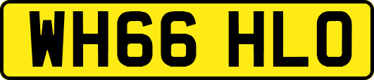 WH66HLO