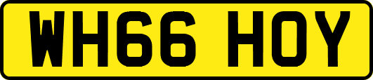 WH66HOY
