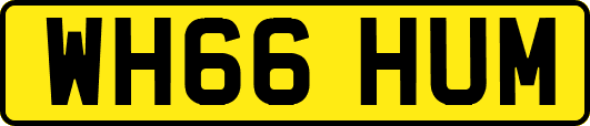 WH66HUM