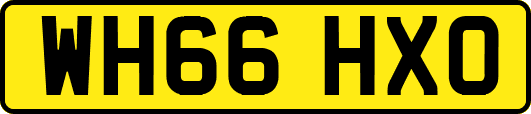 WH66HXO
