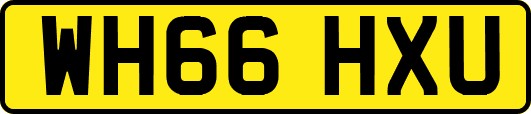 WH66HXU