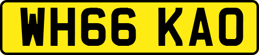 WH66KAO