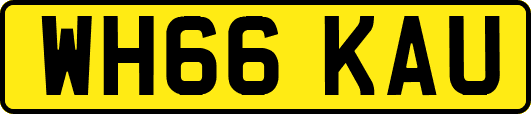 WH66KAU