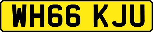 WH66KJU