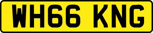 WH66KNG